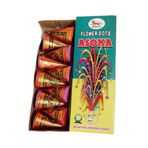 FLOWER-POT-ASOKA